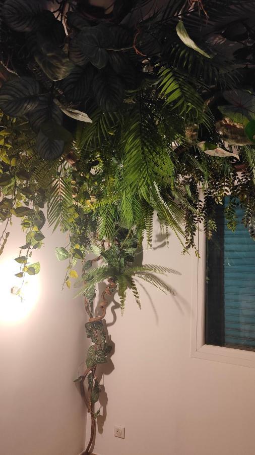 Jungle Room Cannes Exterior photo