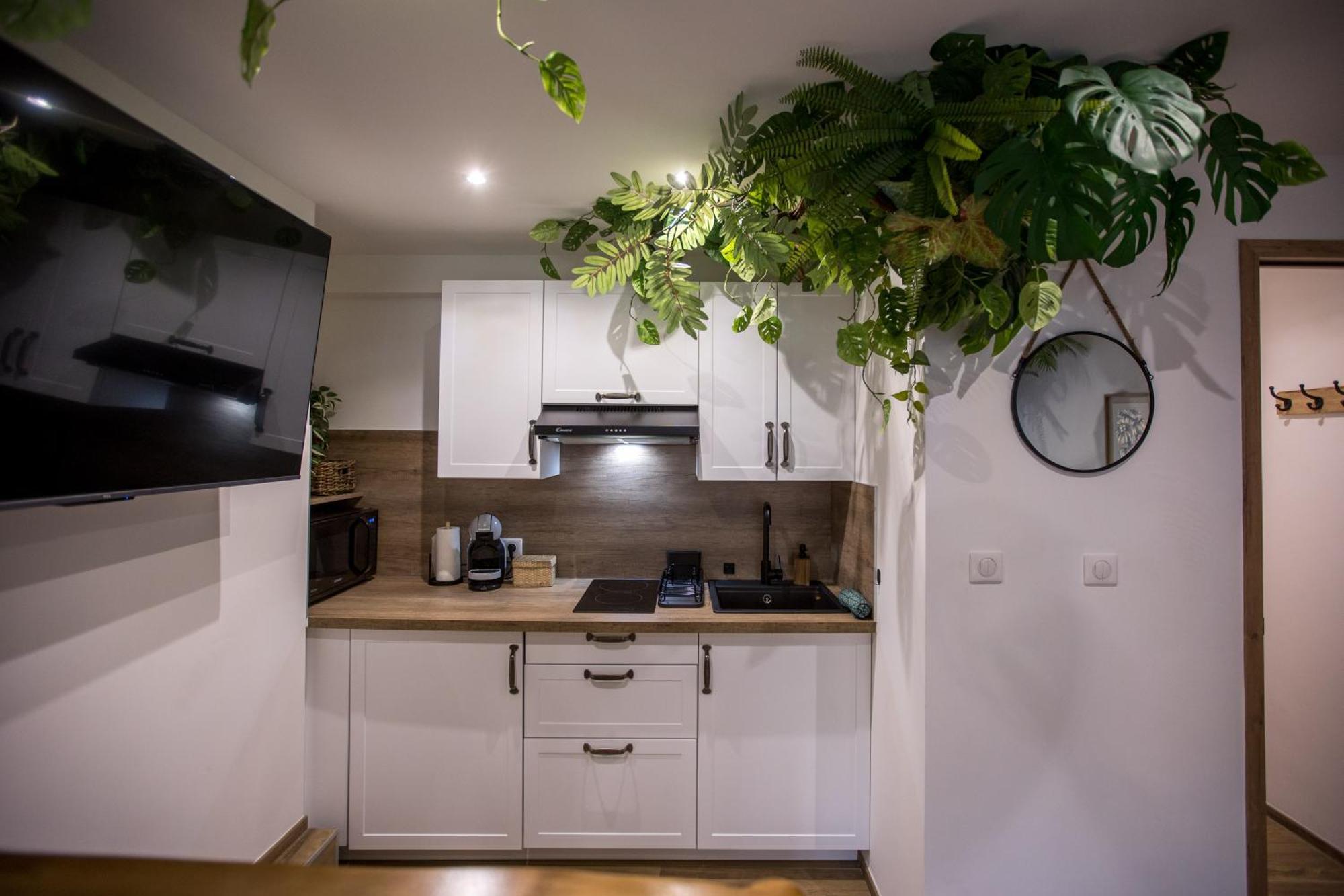 Jungle Room Cannes Exterior photo